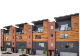 A solitary figure gazes out from the city's edge, with multi-family homes lining the background.