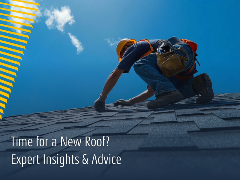 Time for a New Roof? Expert Insights & Advice