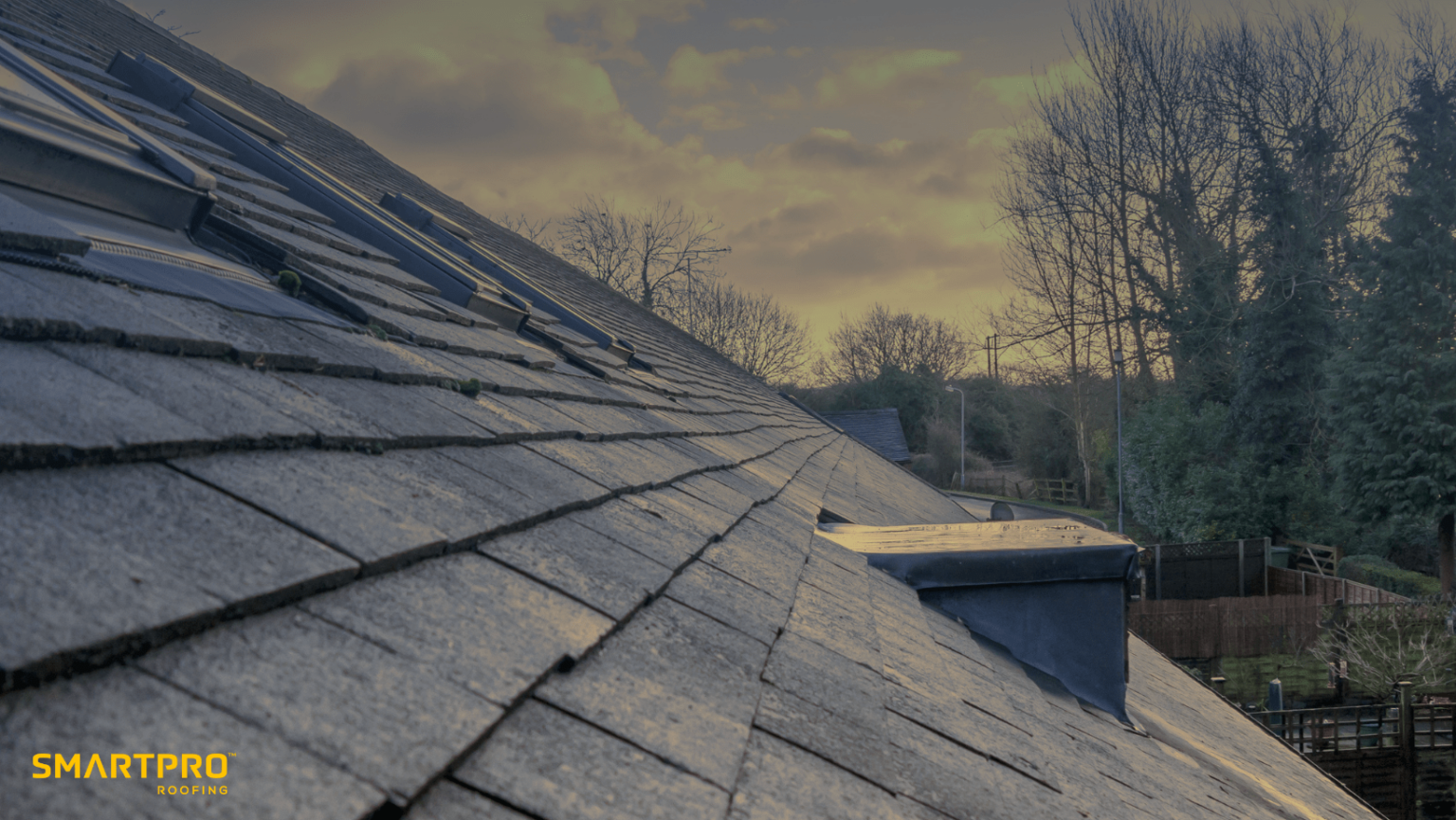 A roof featuring a skylight, surrounded by lush trees in the background, showcasing a harmonious roofing landscape.