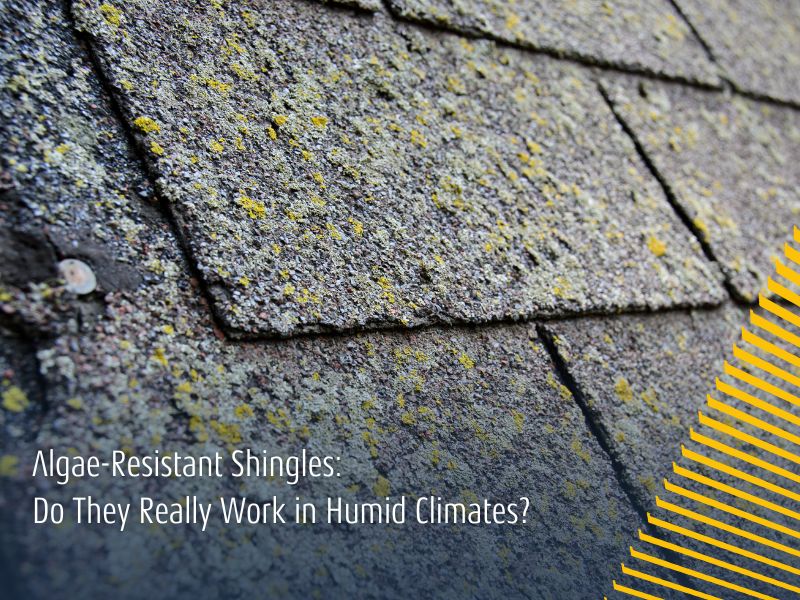 Algae-Resistant Shingles: Do They Really Work in Humid Climates?
