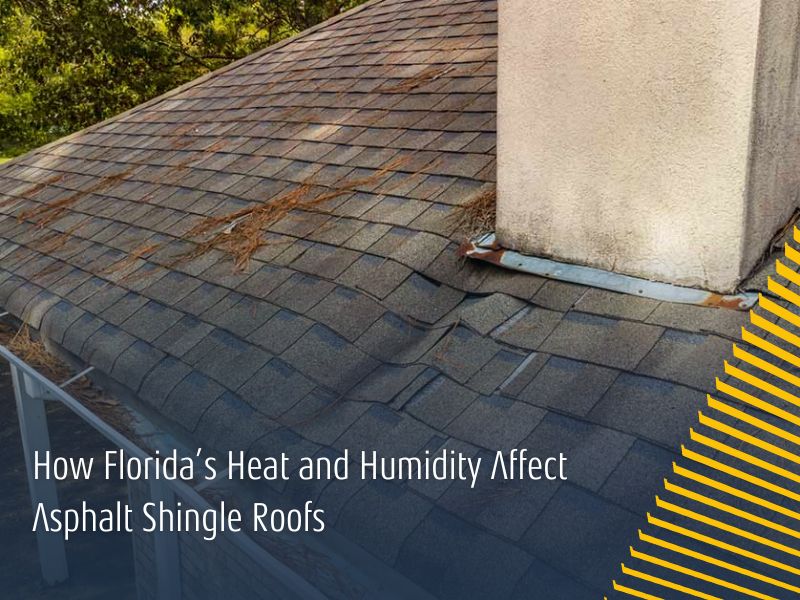 How Florida’s Heat and Humidity Affect Asphalt Shingle Roofs