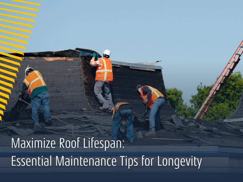 Maximize Roof Lifespan: Essential Maintenance Tips for Longevity