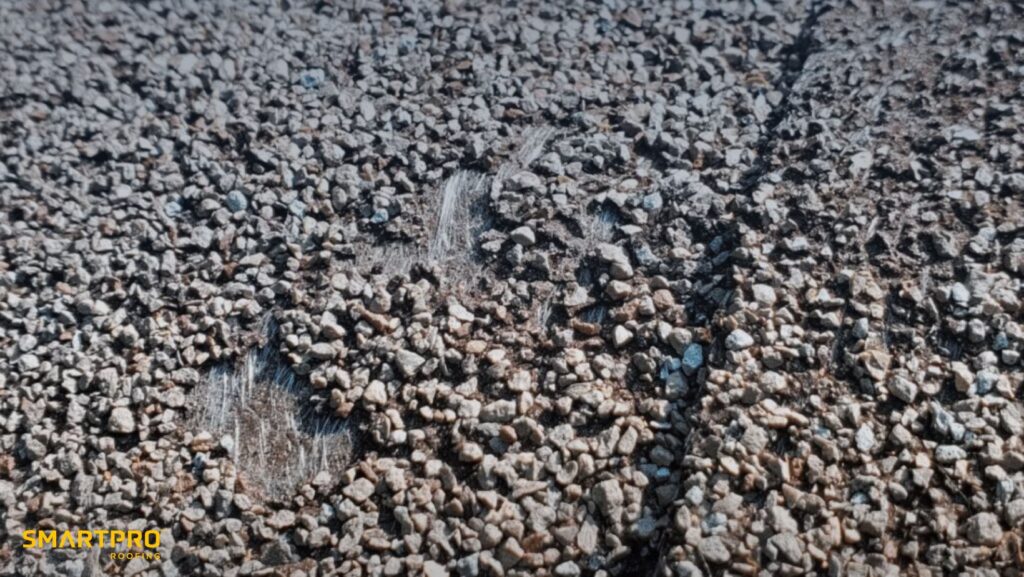 How Florida’s Heat and Humidity Affect Asphalt Shingle Roofs 10 Damaged roof shingles with visible hole