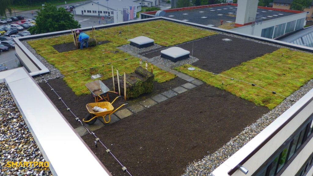 A green roof featuring a lush garden