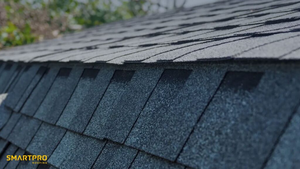 Detailed image of a shingled roof