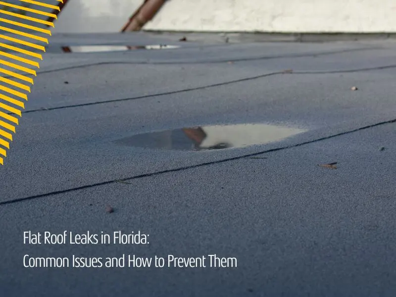 Flat Roof Leaks in Florida: Common Issues and How to Prevent Them