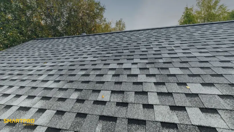 Gray asphalt shingle roof under a cloudy sky, surrounded by green trees. The roof's textured pattern conveys durability and modernity.