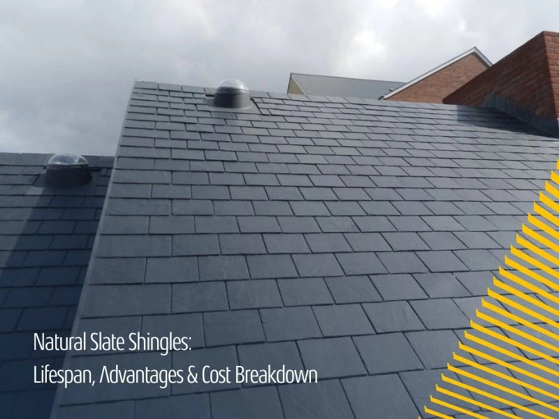 Natural Slate Shingles: Lifespan, Advantages & Cost Breakdown