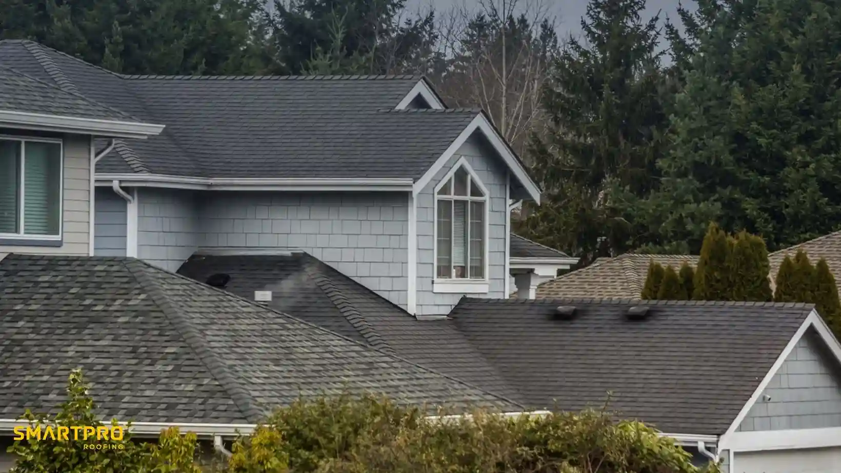 A cluster of suburban houses with gray shingle roofs, framed by lush evergreen trees. The scene conveys a peaceful, residential neighborhood.