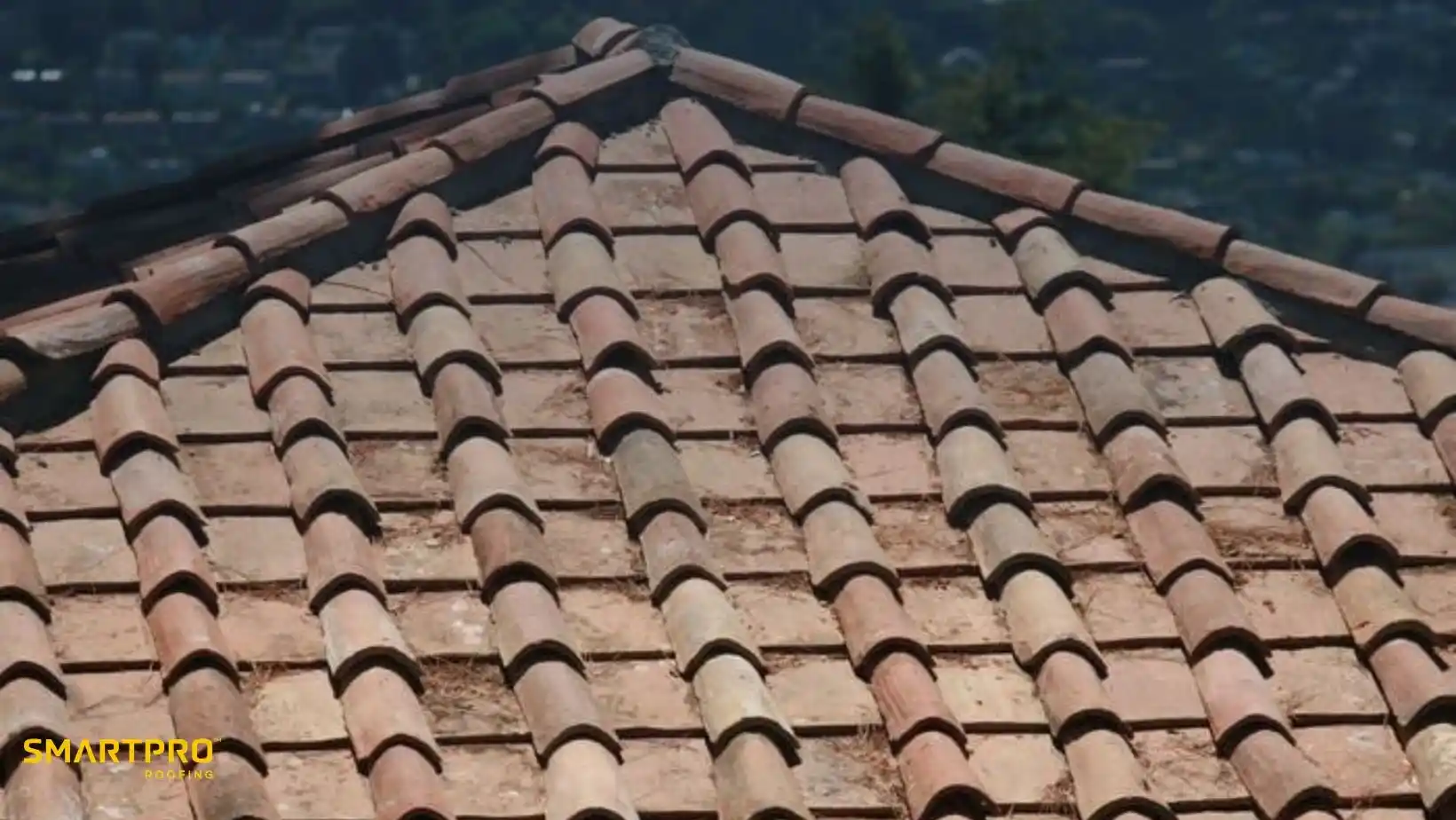 A close-up view of a roof with red clay tiles arranged in neat rows, set against a blurred background of trees and a distant landscape. The scene feels warm and rustic.