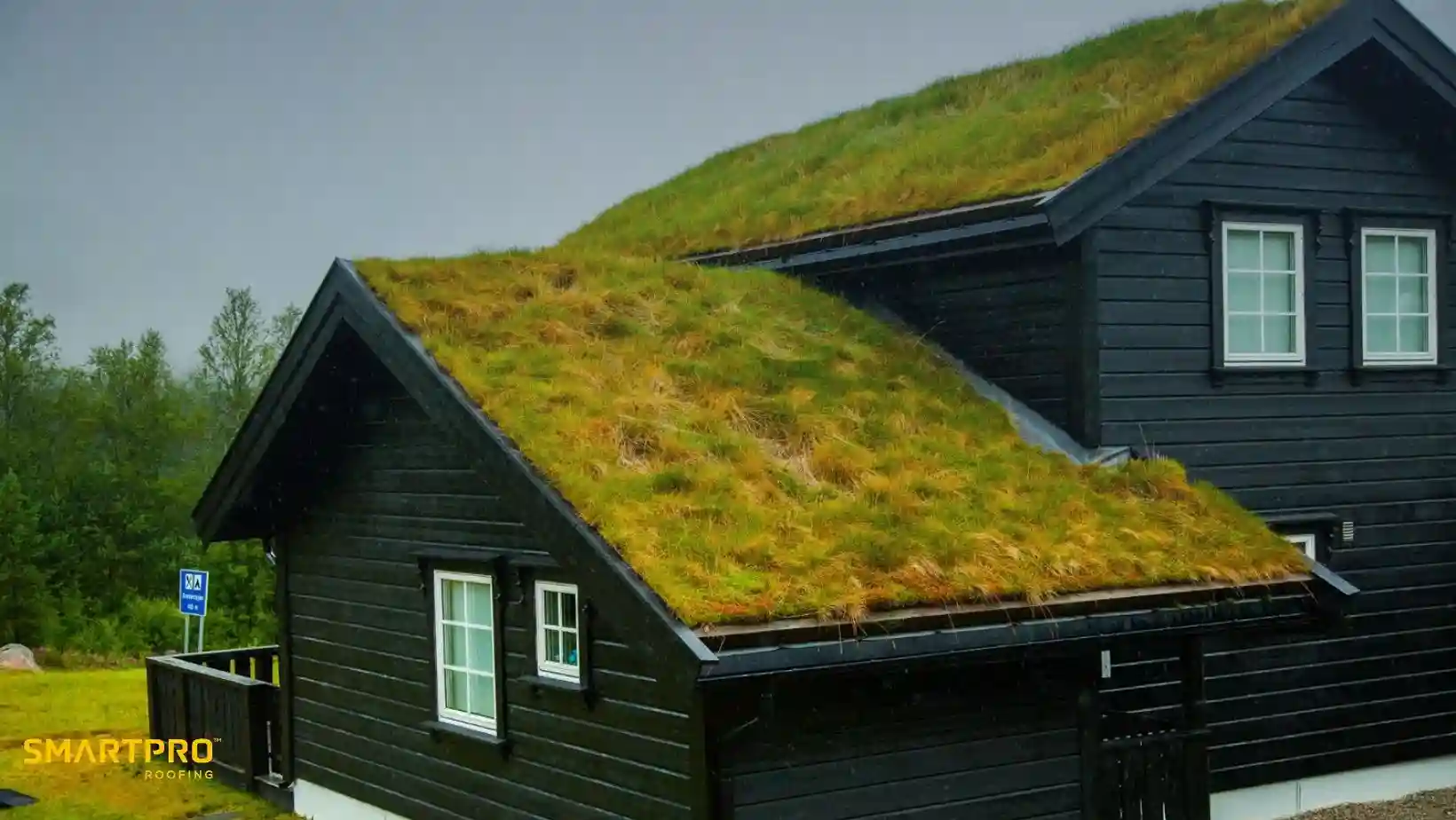 A black wooden house features a lush grass-covered roof, blending with the surrounding greenery. The overcast sky adds a serene, natural ambiance.
