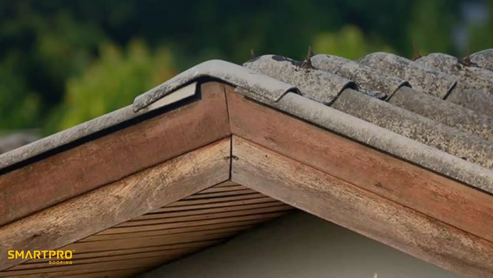 How Fiber Cement Compares to Composite and Wood Shingles 10 A close-up of a house roof shows weathered tiles and wooden eaves, with a backdrop of blurred greenery. The tone is rustic and natural.